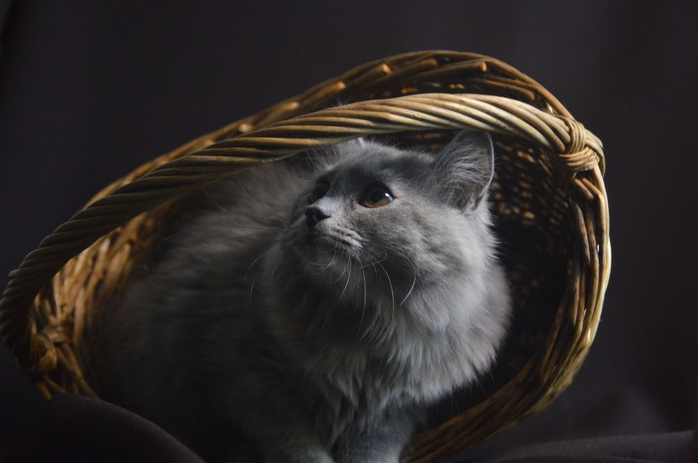 Photograph by Казакевич Варвара