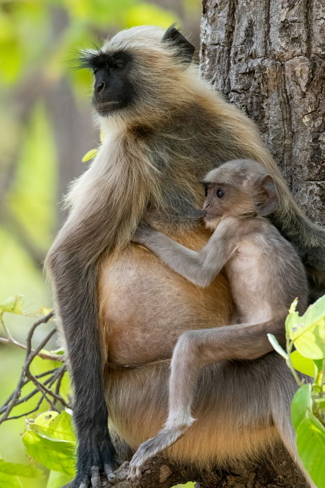 Photograph by Rajib Kumar Dana