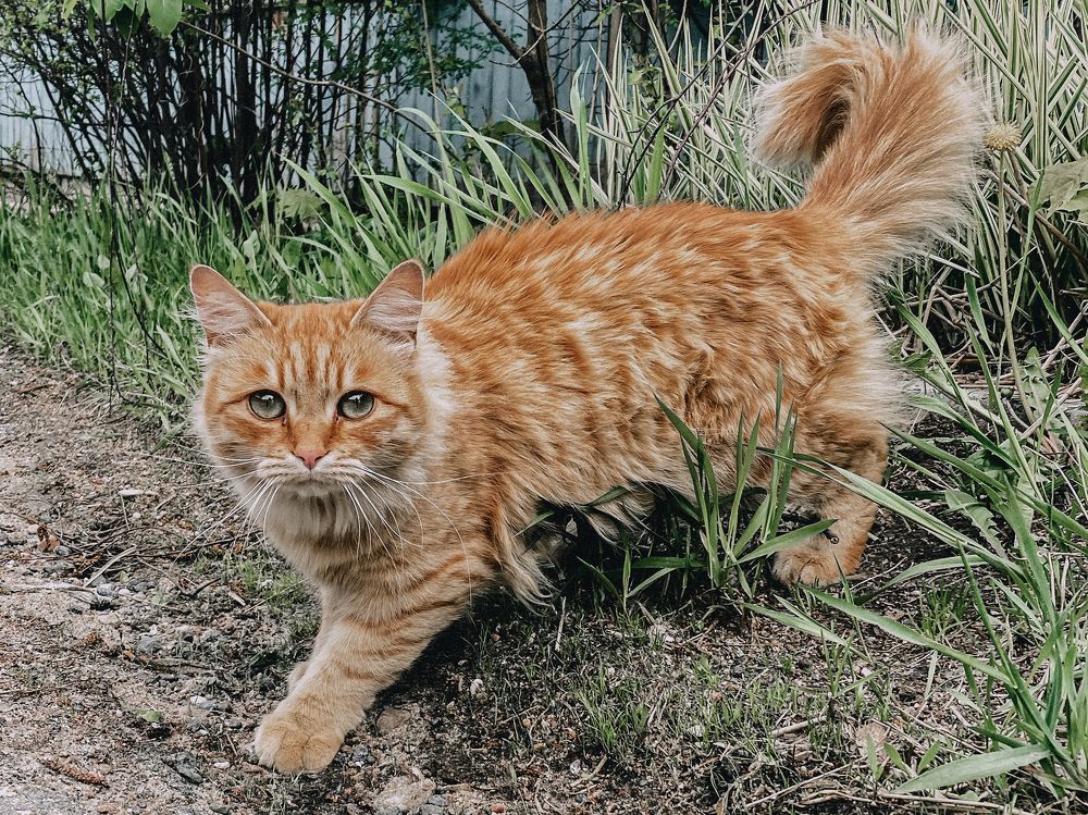 Photograph by Екатерина Бердутина