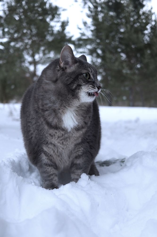 Photograph by Гуляева Светлана