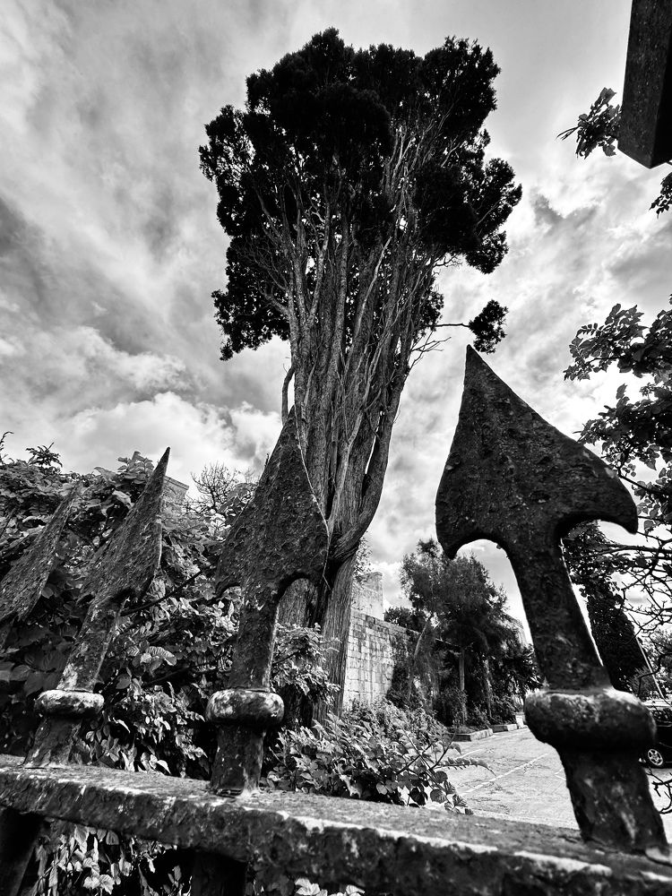 Photograph by Ernest Spiteri Gonzi