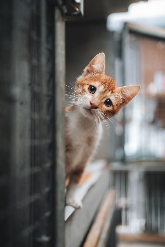 Photograph by Alma González