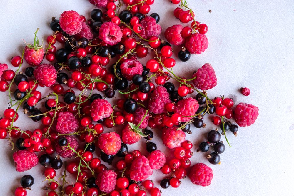 Photograph by Ch Ancuta