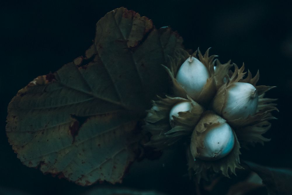 Photograph by Bohdan Nahirnyj