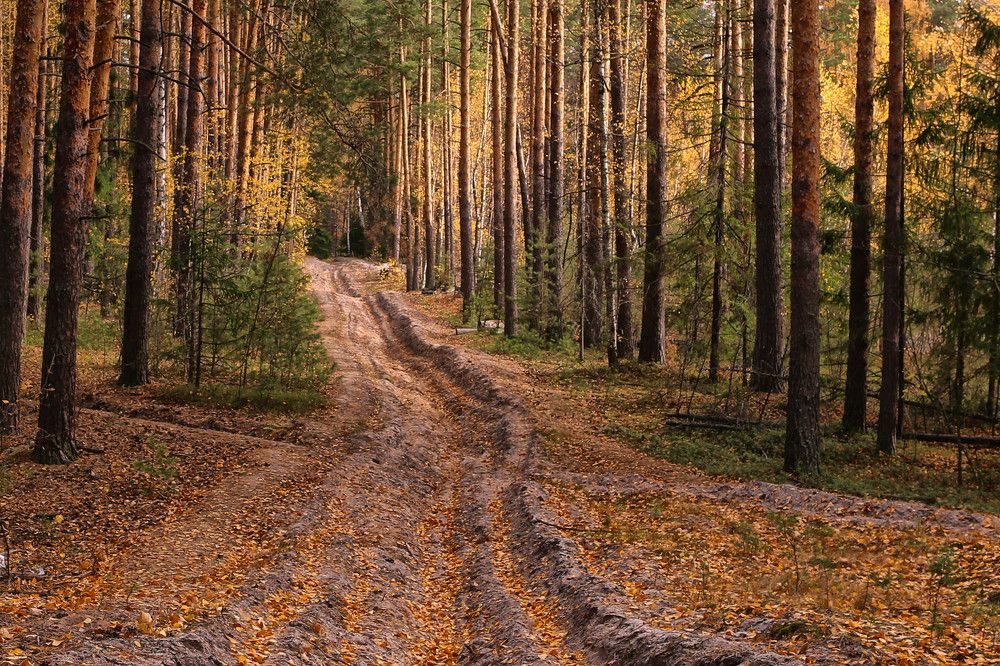 Photograph by Моложников Юрий