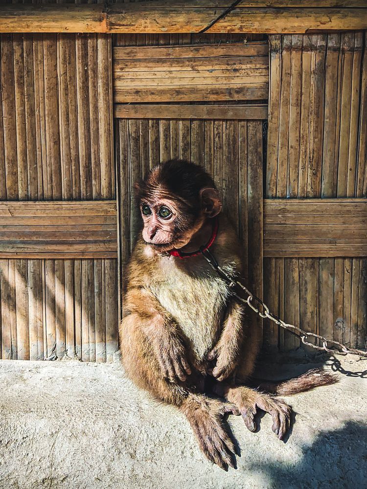 Photograph by Rylan Iffat