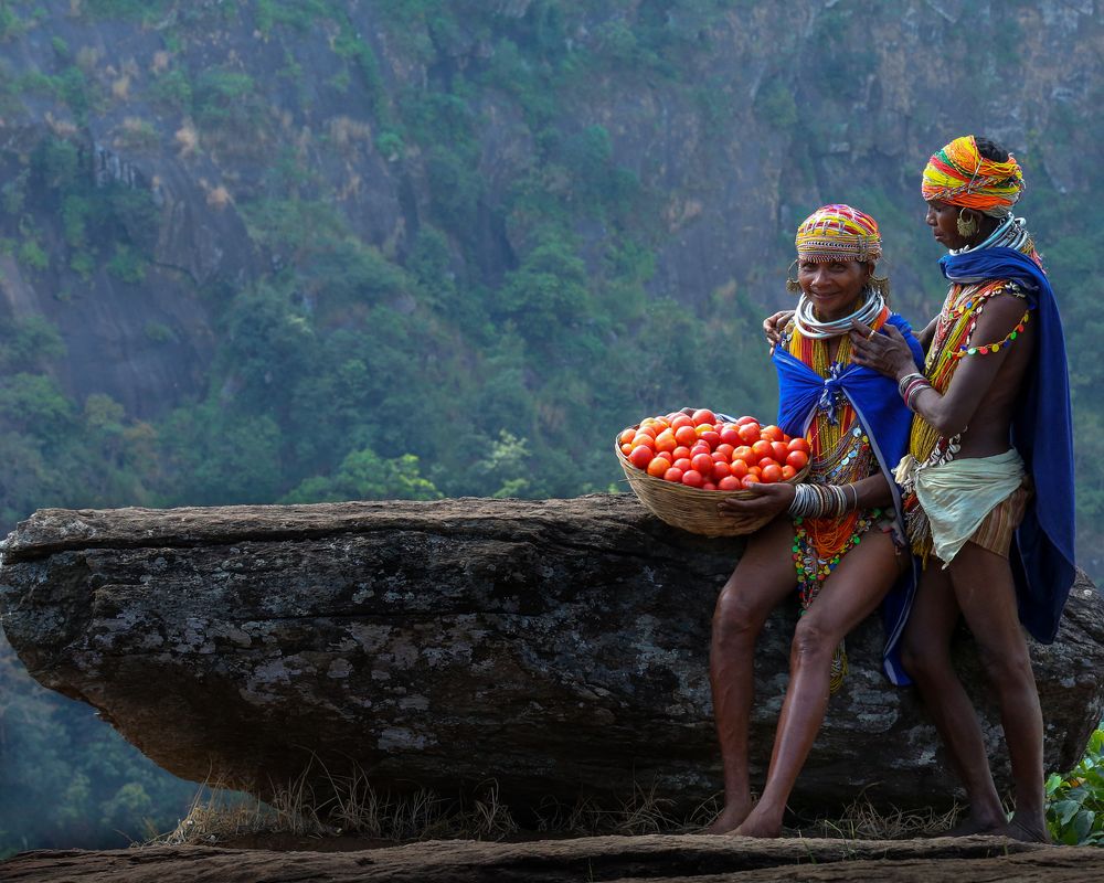 Фотография автора ANIL KUMAR DESHPANDE