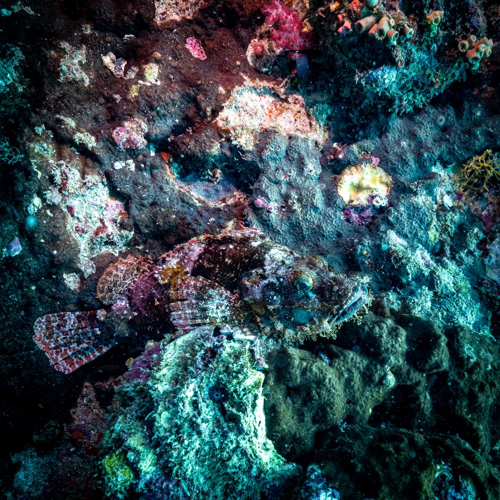 Photograph by Дмитрий Плотников