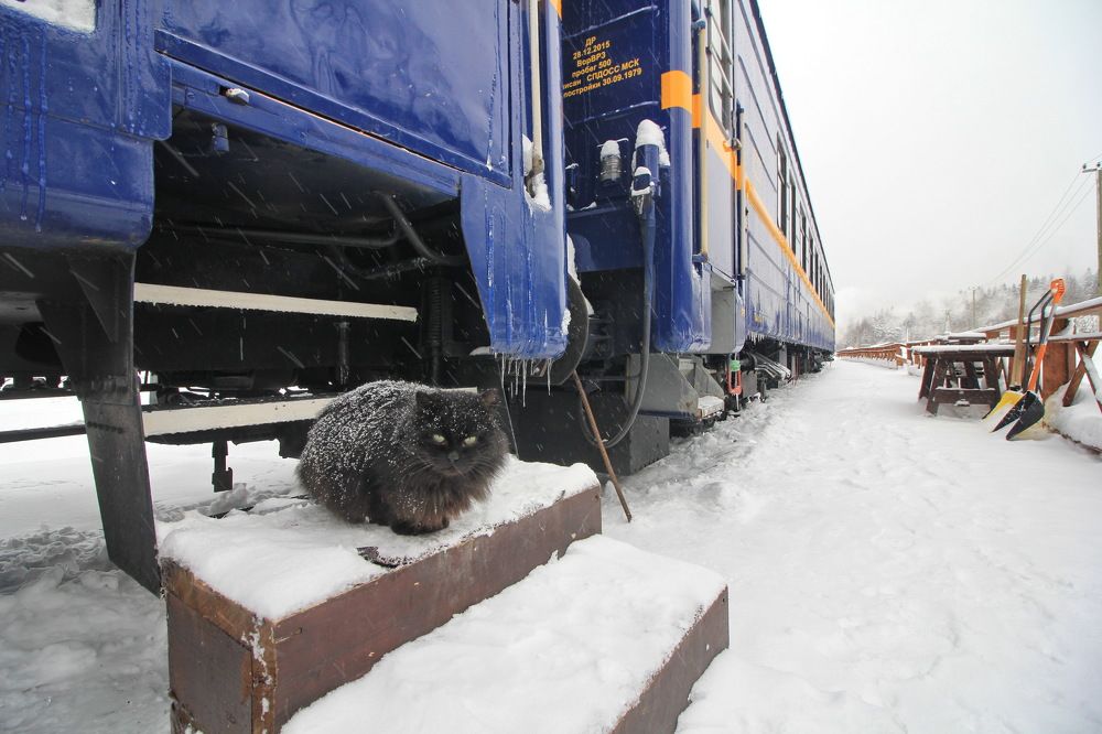 Photograph by Тимофей Петров