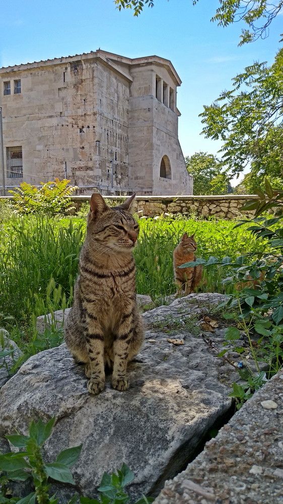 Chilling under Greek History...