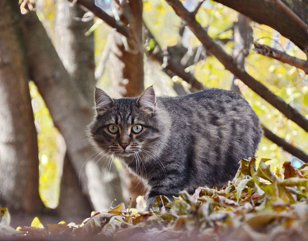 Photograph by Константин Мишнаевский