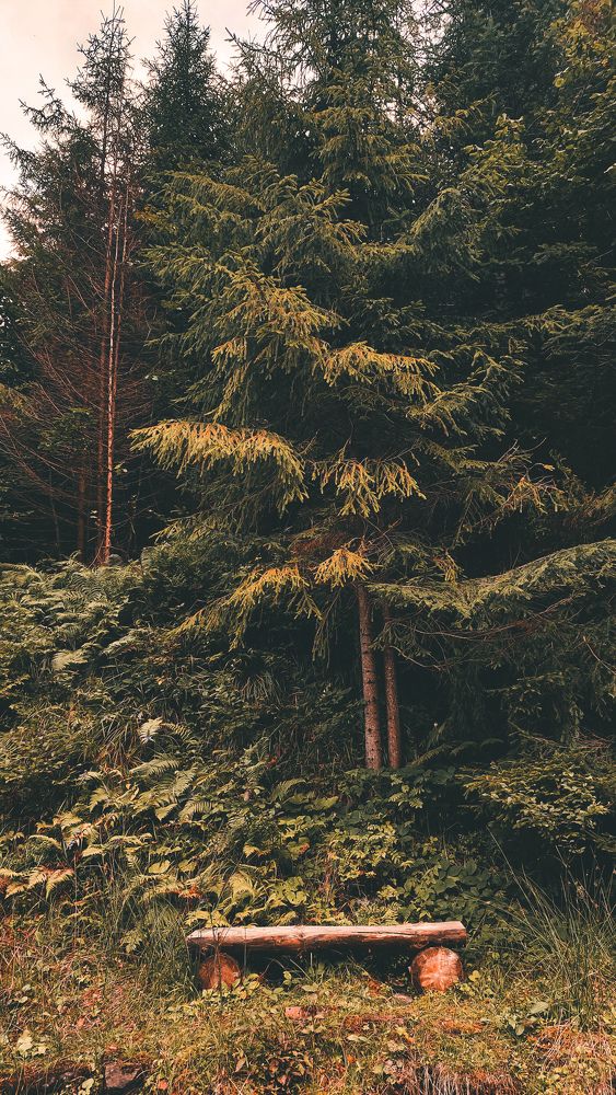 Photograph by Bohdan Nahirnyj