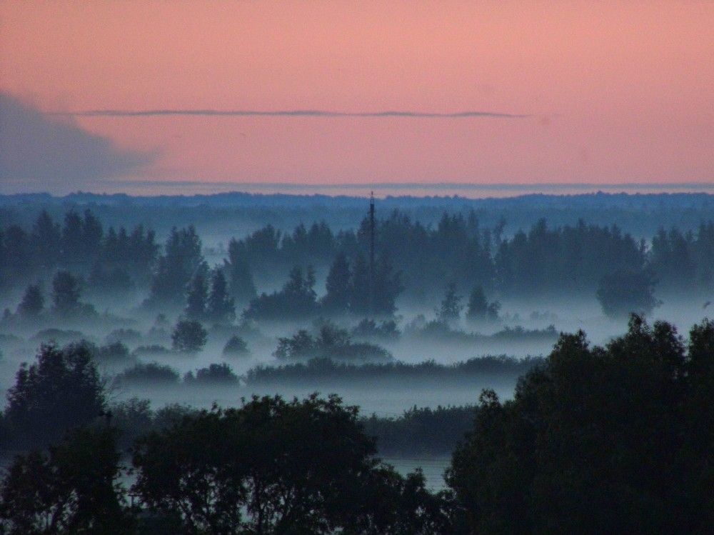 Photograph by Тимофей Петров