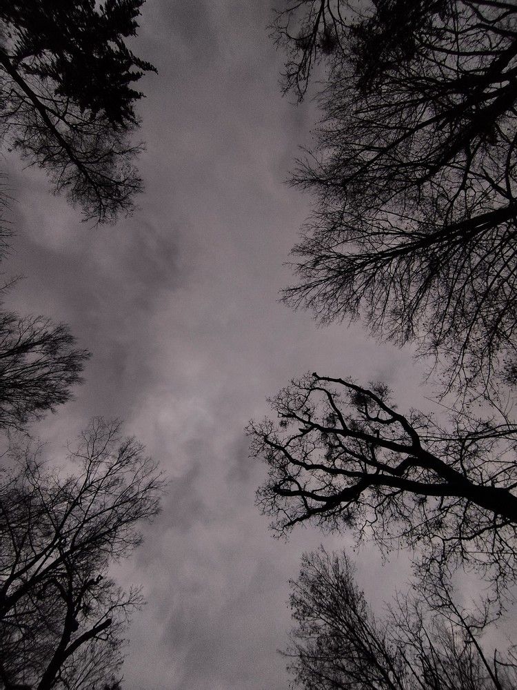 Photograph by Franka Pisaric