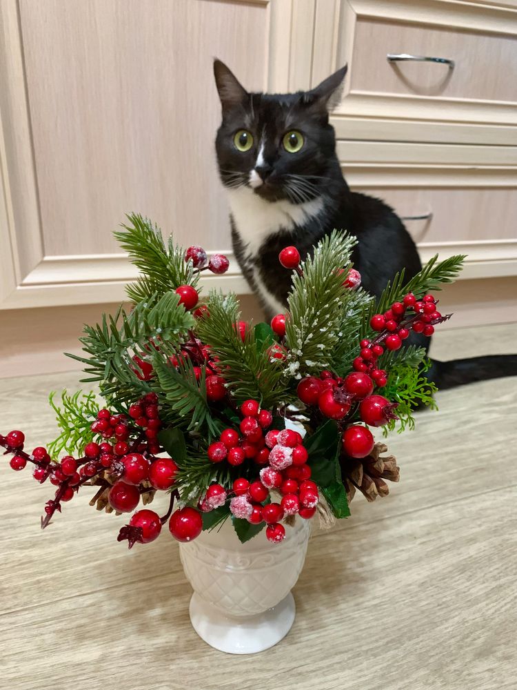 Photograph by Елена Макуха