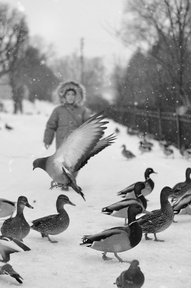 Photograph by Дарья Зайкова