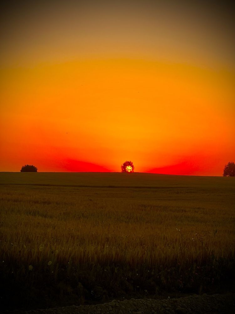 Photograph by Николай Курочкин