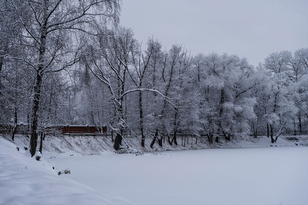 У заснеженного пруда