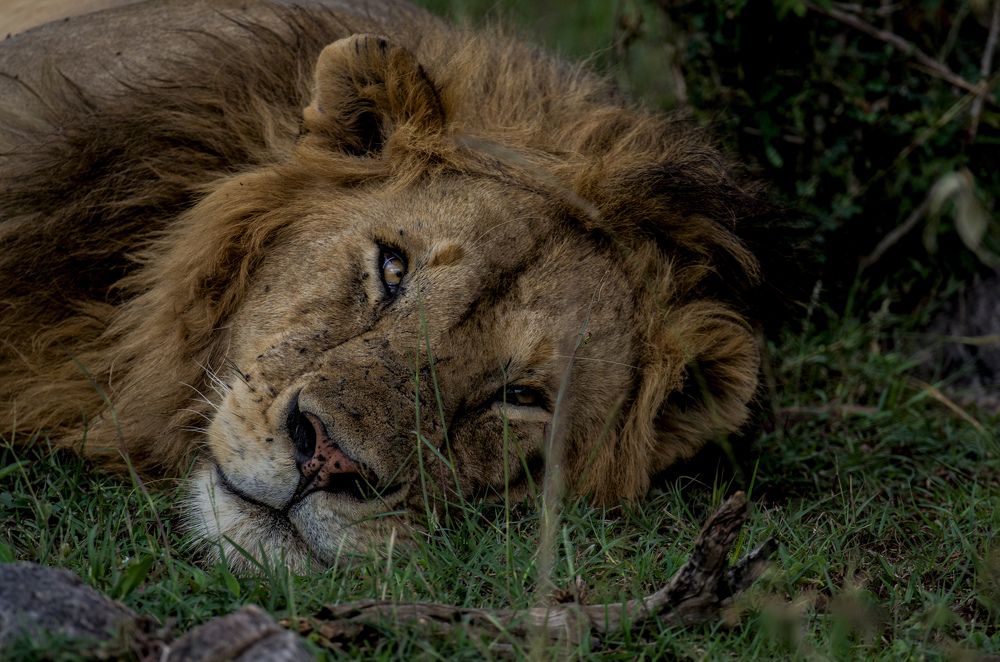 Photograph by Murad Rajabali Habib