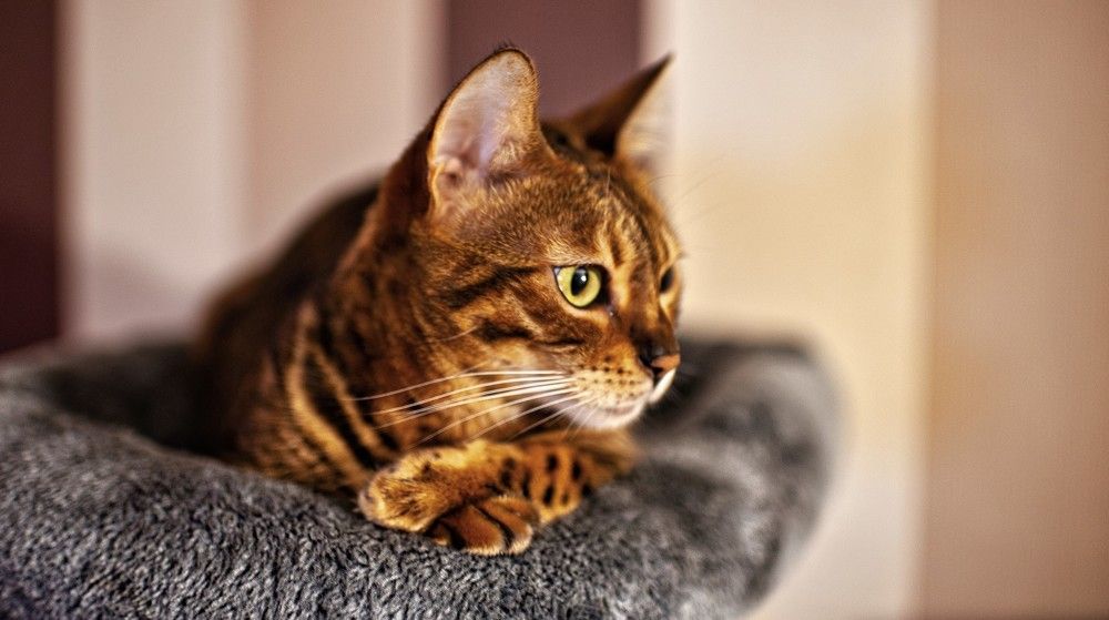 Photograph by Aleksandr Jefimov