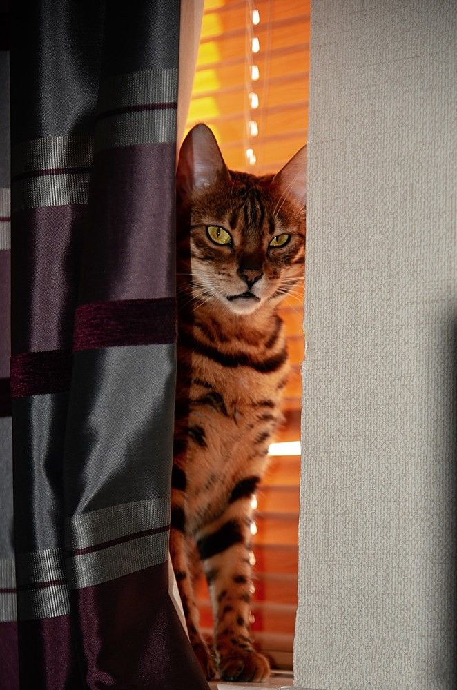 Photograph by Aleksandr Jefimov