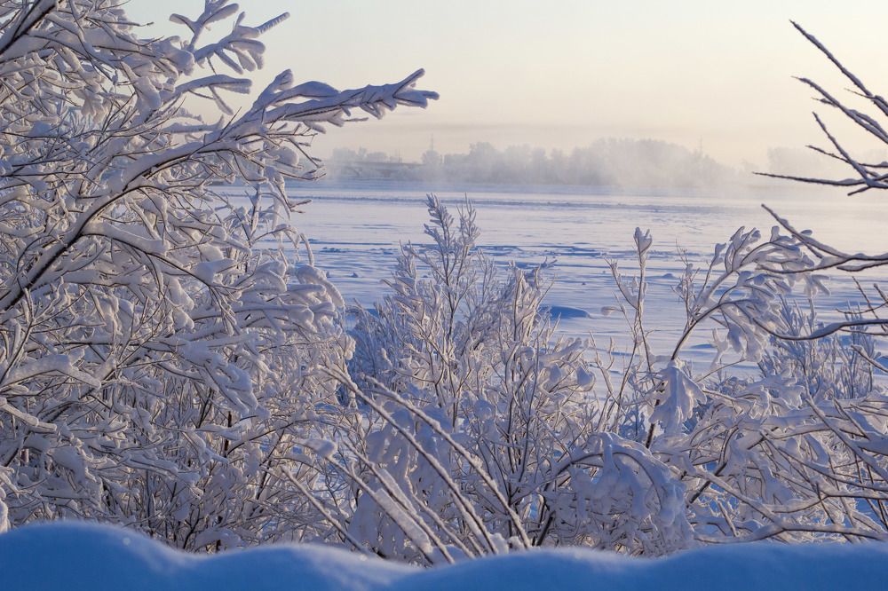 Photograph by Elena Kostochkina