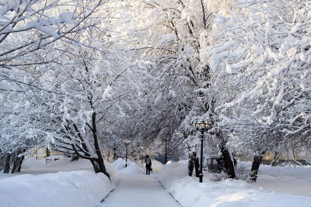 Photograph by Elena Kostochkina