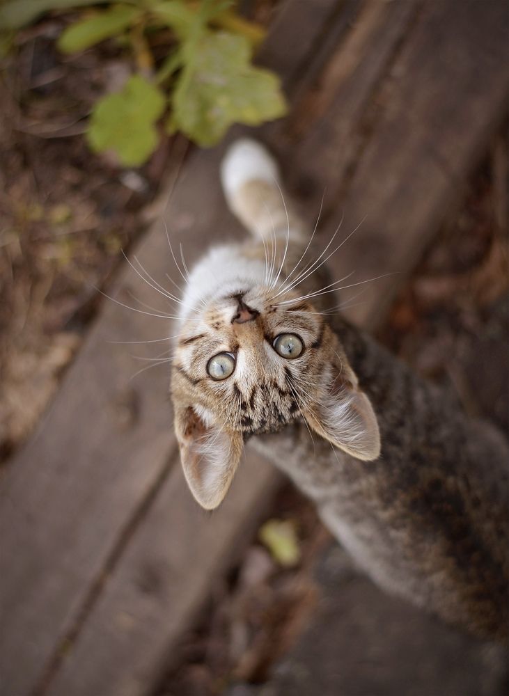 Фотография автора Анастасия Струна