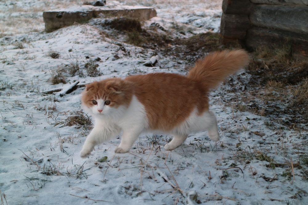 Photograph by Светлана Фокина