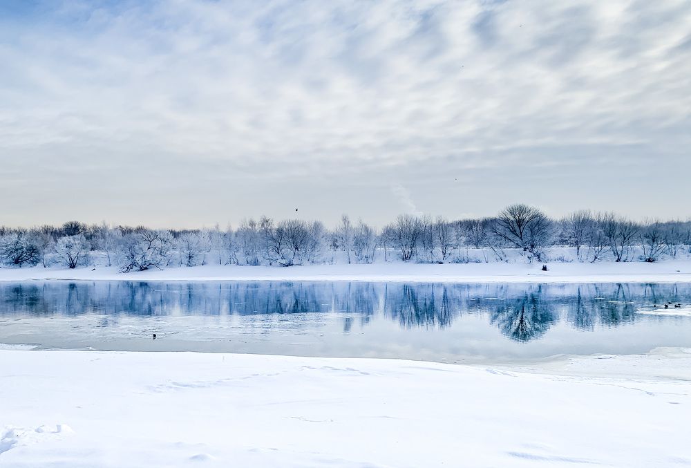 Photograph by Никита Борзов