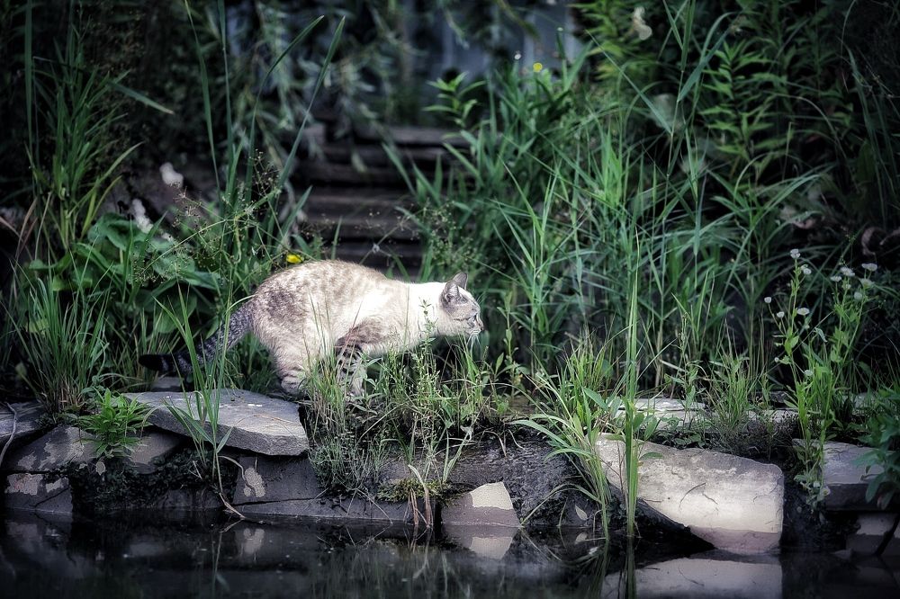 Photograph by Наталья Кузнецова