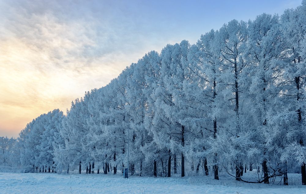 Фотография автора Пименов Евгений