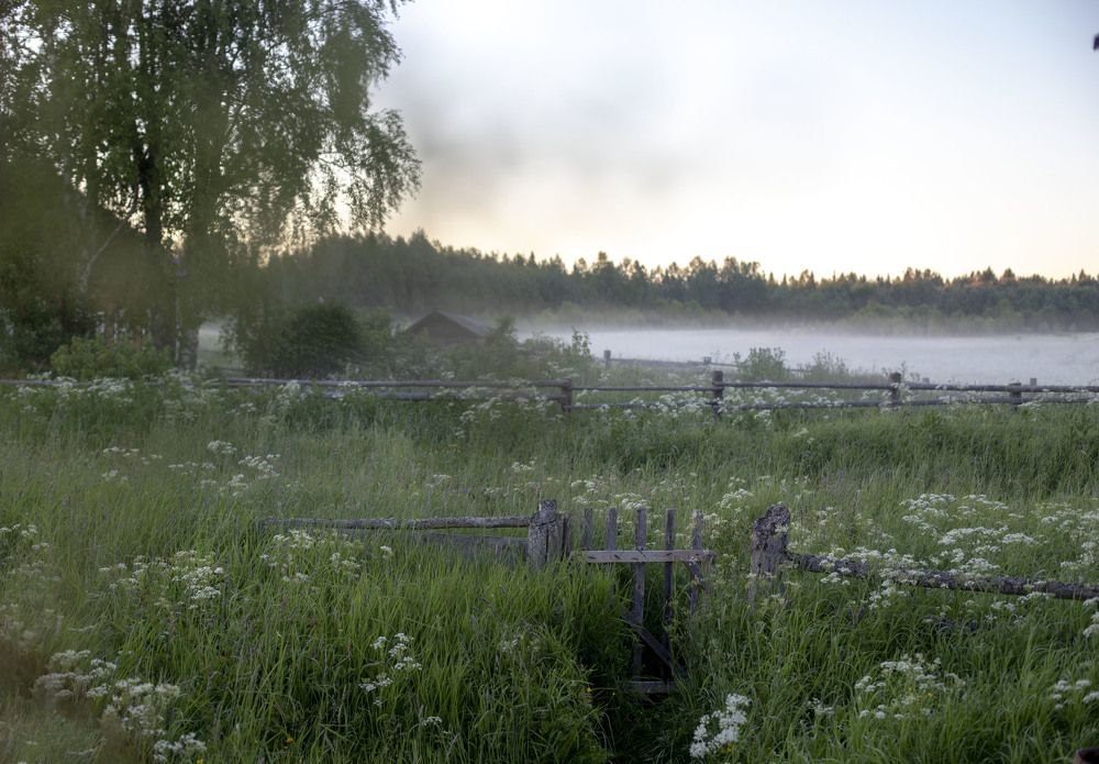 Photograph by Elena Kostochkina