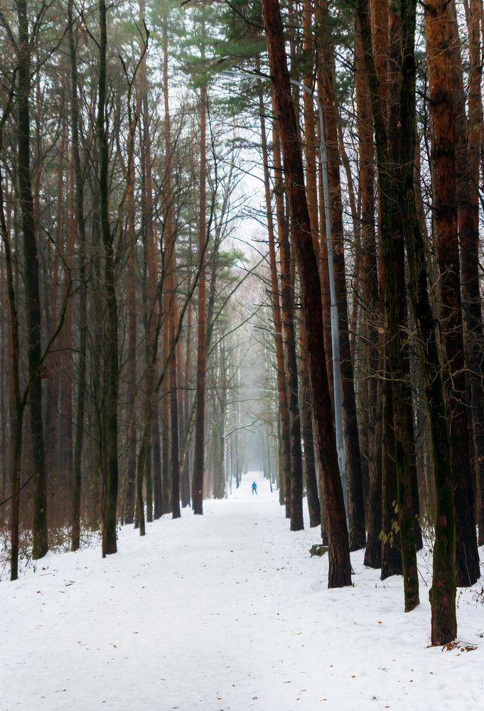 Photograph by Любовь Дворникова