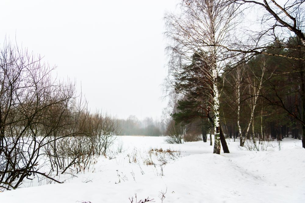 Photograph by Любовь Дворникова