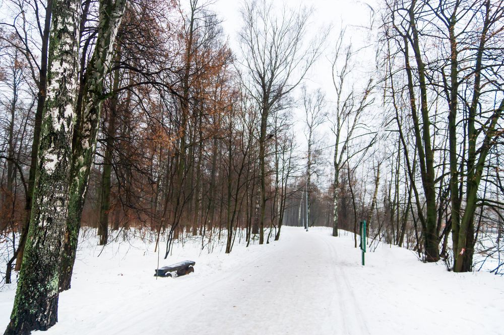 Photograph by Любовь Дворникова