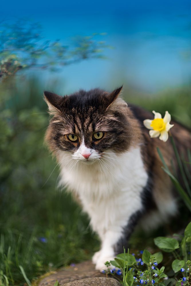 Photograph by Вадим