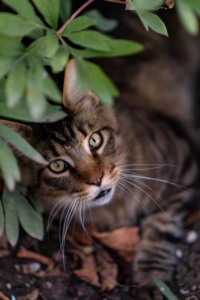 Photograph by Вадим