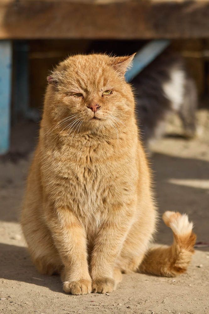 Фотография автора Mikhaylov Mikhail