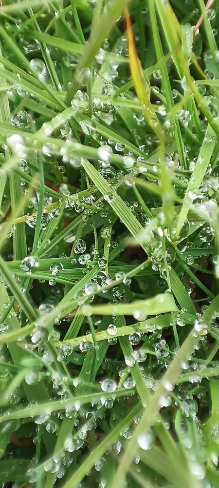 Photograph by Лариса