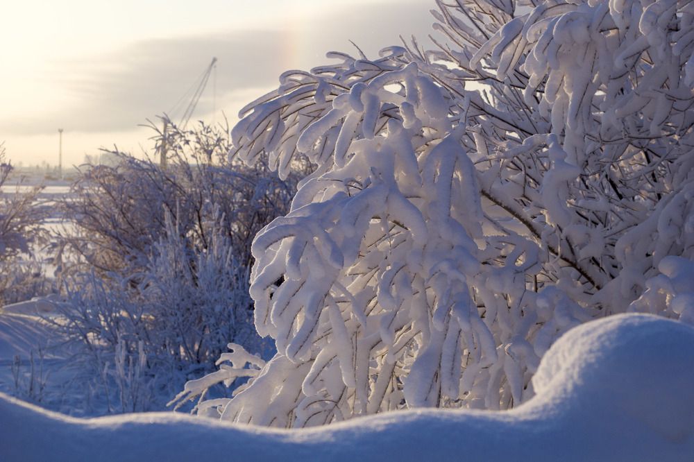 Photograph by Elena Kostochkina