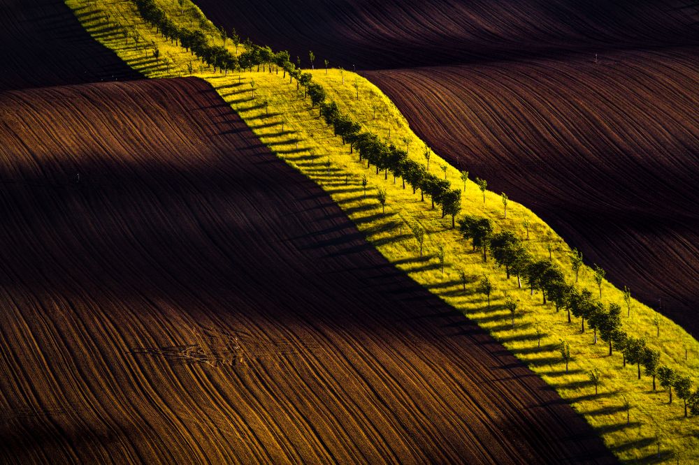 Fields of the Moravian Tuscany