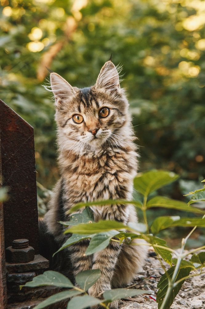 Photograph by Андрей