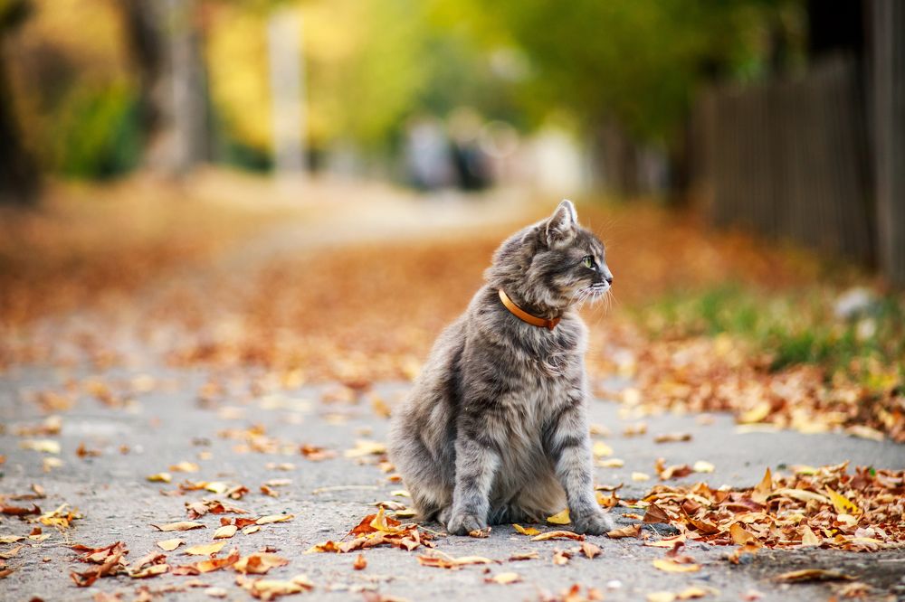 Photograph by Андрей