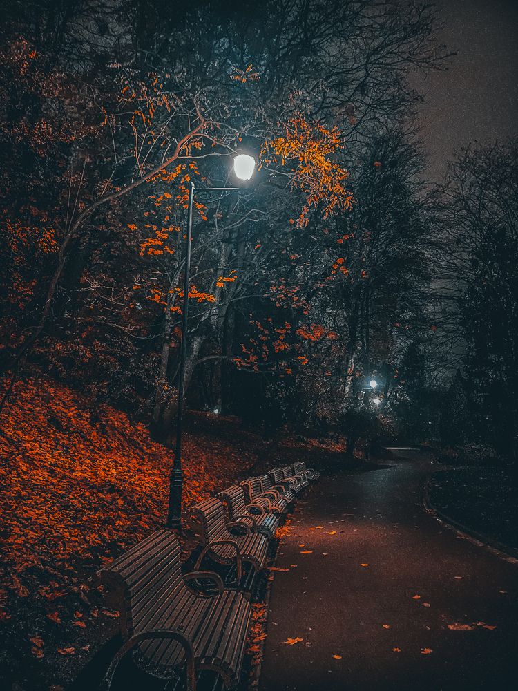 Photograph by Bohdan Nahirnyj