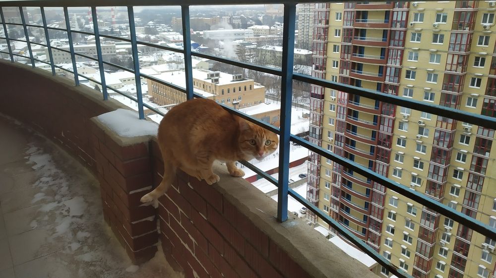 Photograph by Елена Смирнова