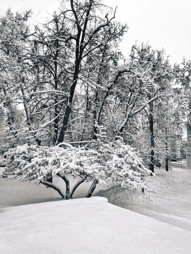 Photograph by Роман Новиков