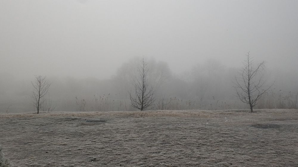 Photograph by Alexander Usenko