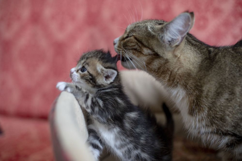 Photograph by Elena Kostochkina