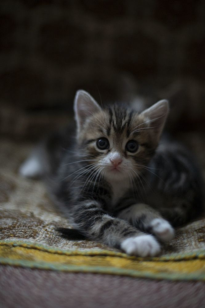 Photograph by Elena Kostochkina